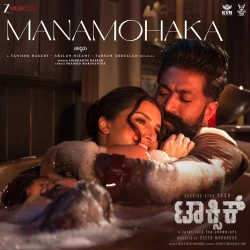 Toxic - Kannada (2026)